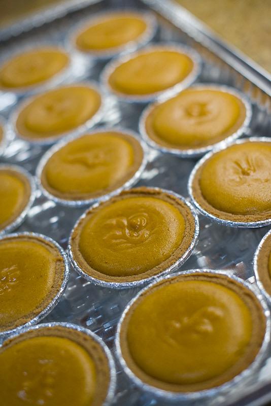 THANKSGIVING PRE-ORDER One Dozen Minis